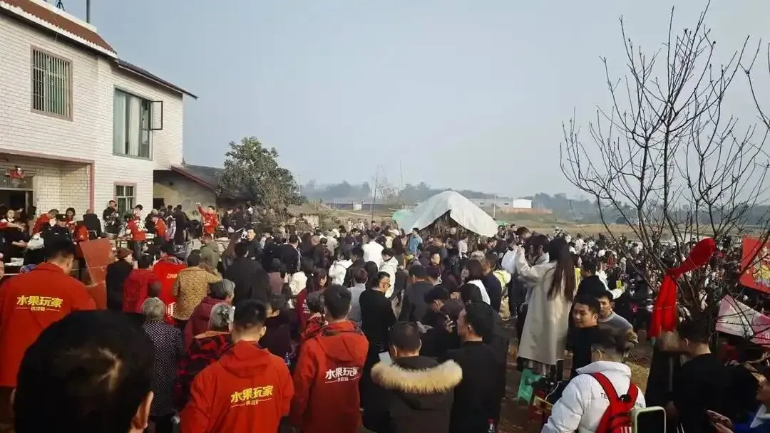 刨豬湯現場人山人海 封面新聞拍攝